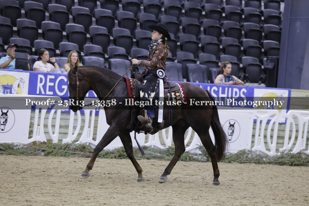 Proof 25R13_15358