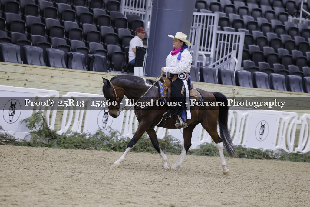 Proof 25R13_15360