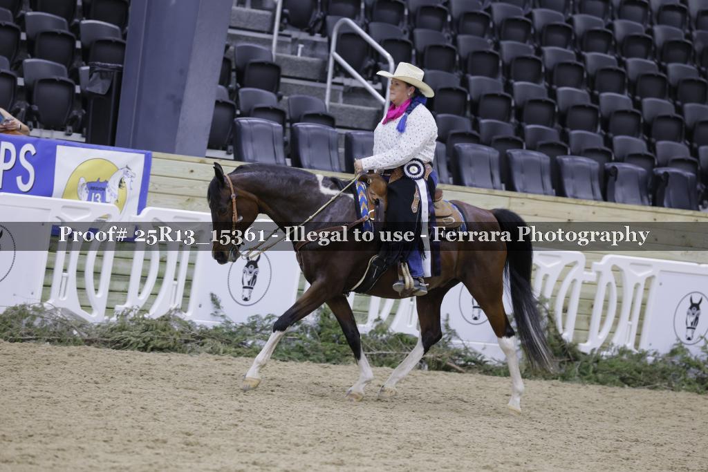 Proof 25R13_15361