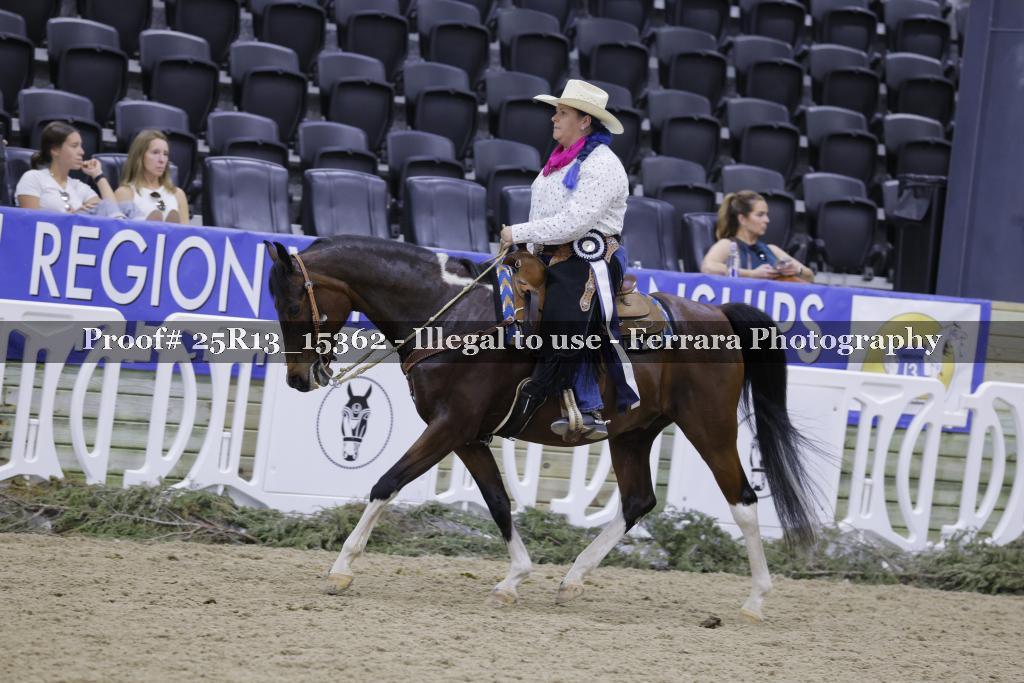 Proof 25R13_15362