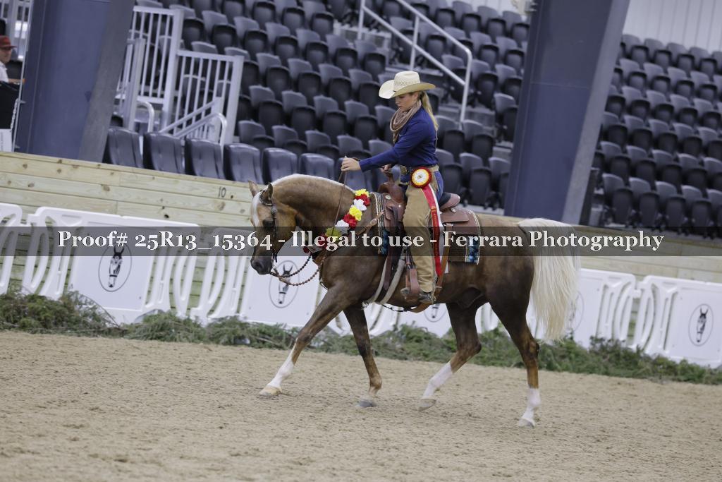 Proof 25R13_15364