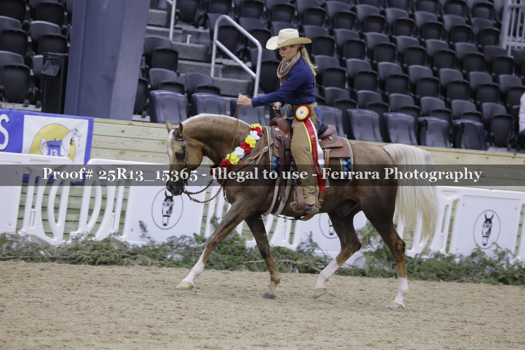 Proof 25R13_15365
