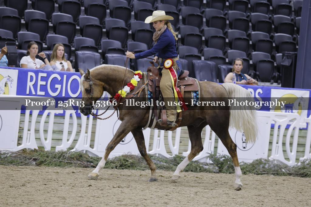 Proof 25R13_15366