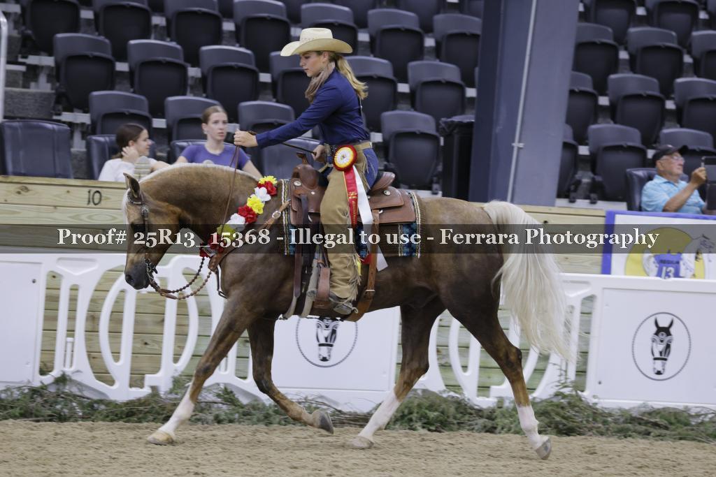 Proof 25R13_15368