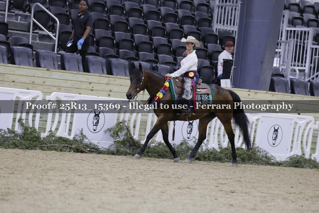 Proof 25R13_15369