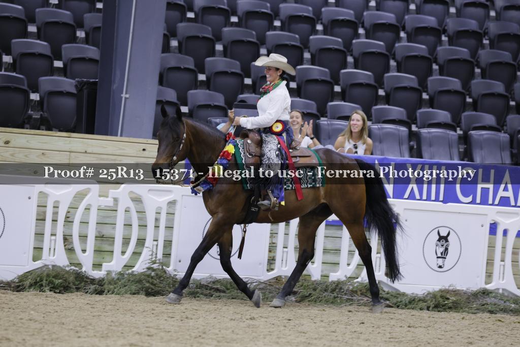 Proof 25R13_15371