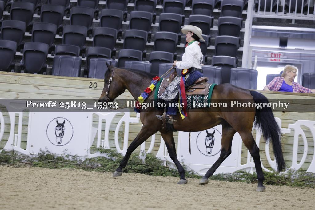 Proof 25R13_15373