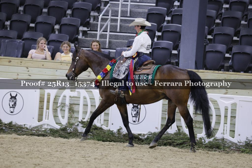 Proof 25R13_15374