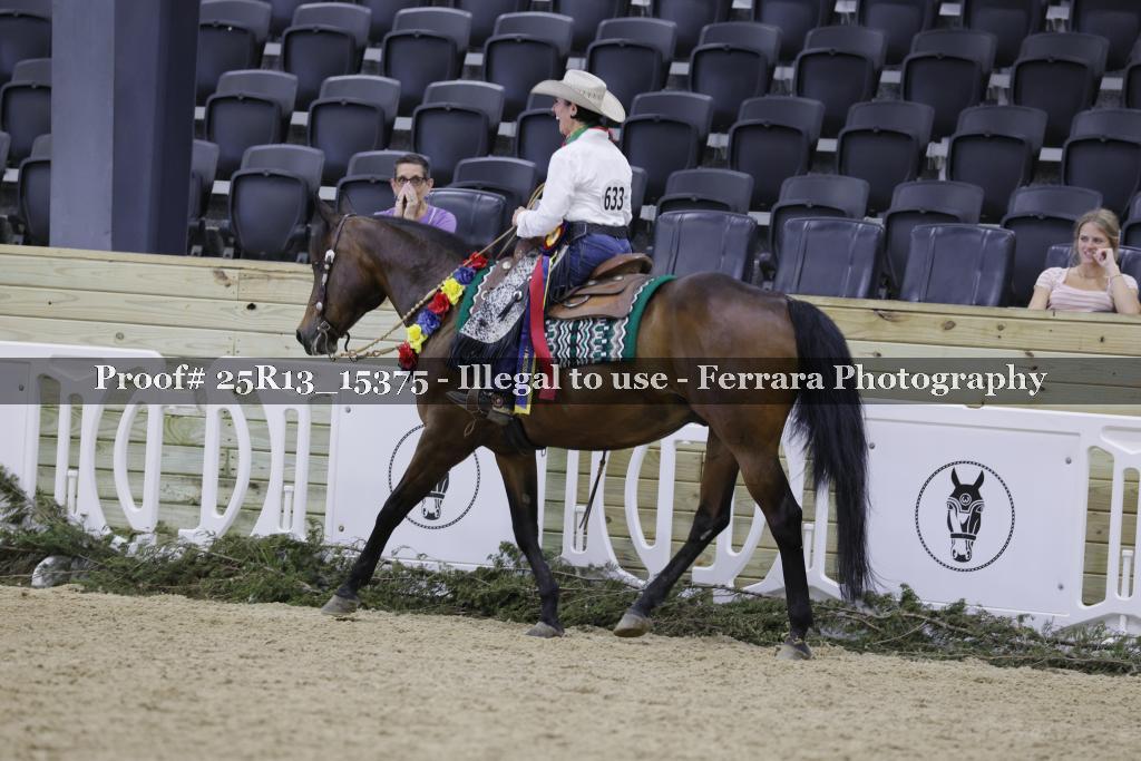 Proof 25R13_15375