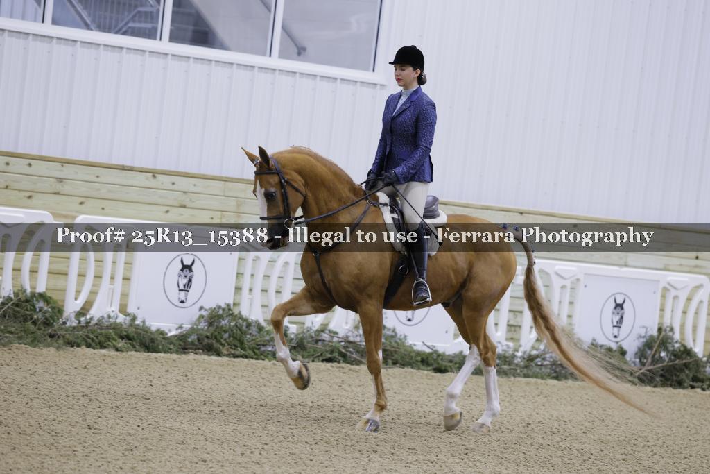 Proof 25R13_15388