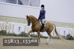 25R13_15388 proof