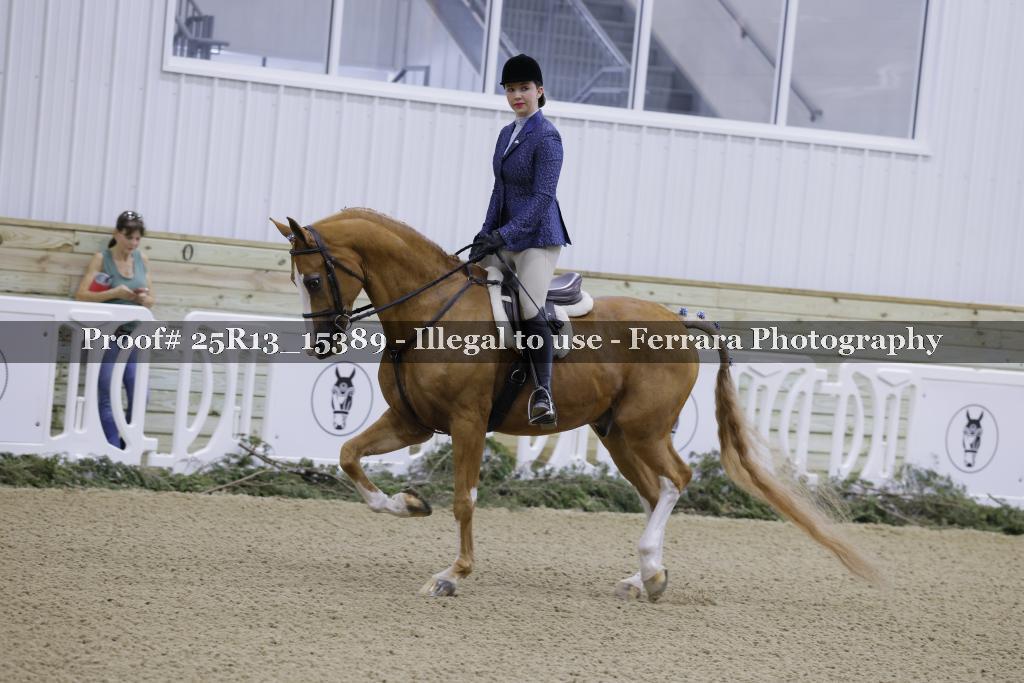 Proof 25R13_15389