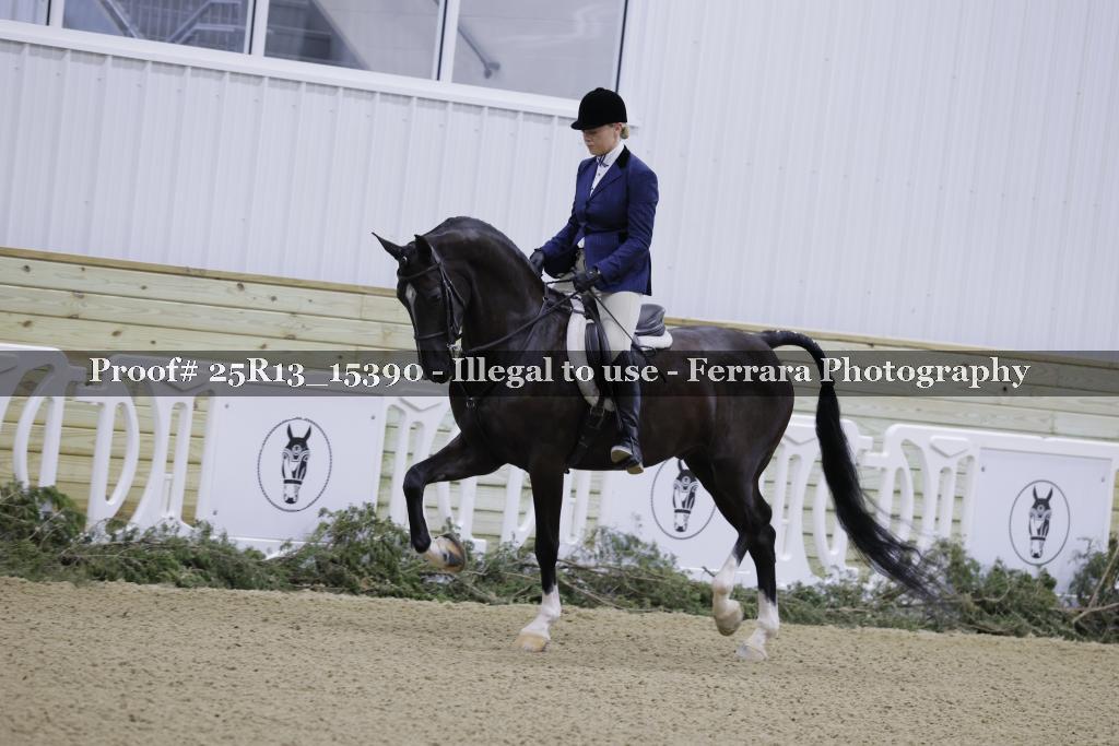 Proof 25R13_15390