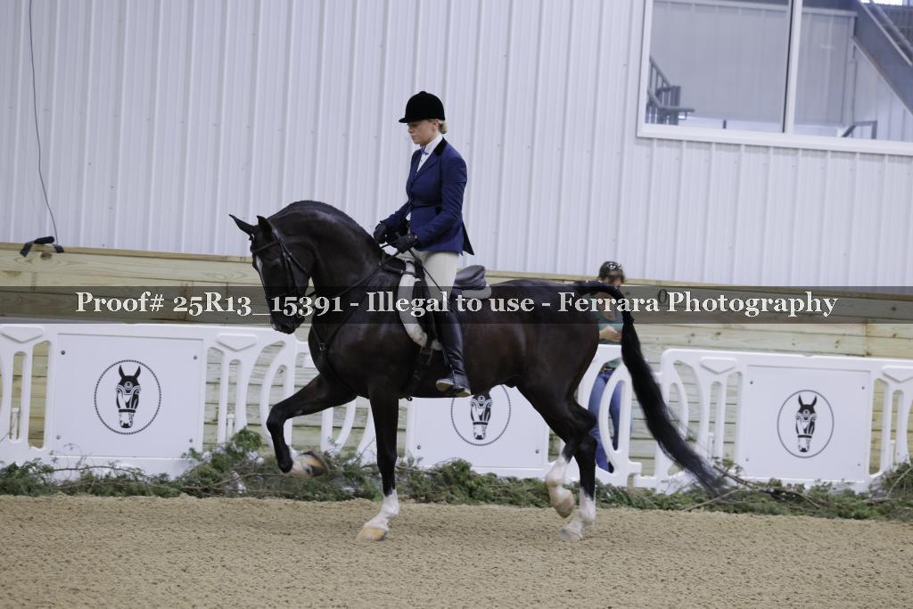 Proof 25R13_15391