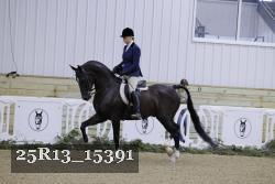 25R13_15391 proof