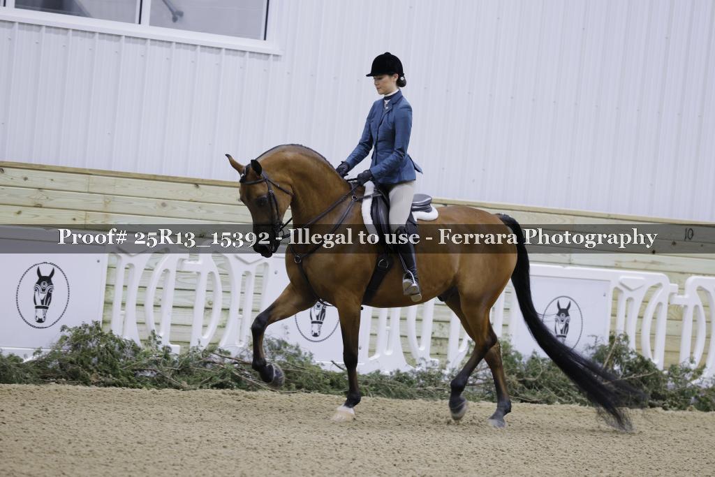 Proof 25R13_15392