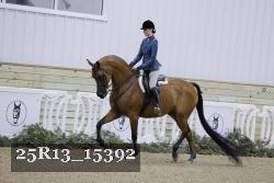 25R13_15392 proof
