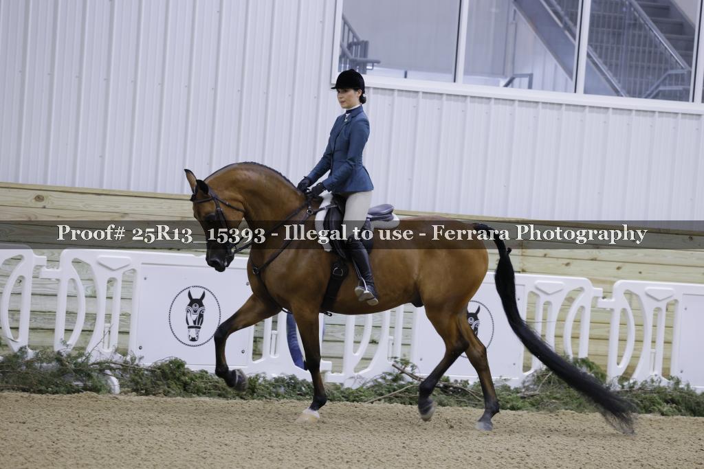 Proof 25R13_15393