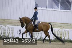 25R13_15393 proof