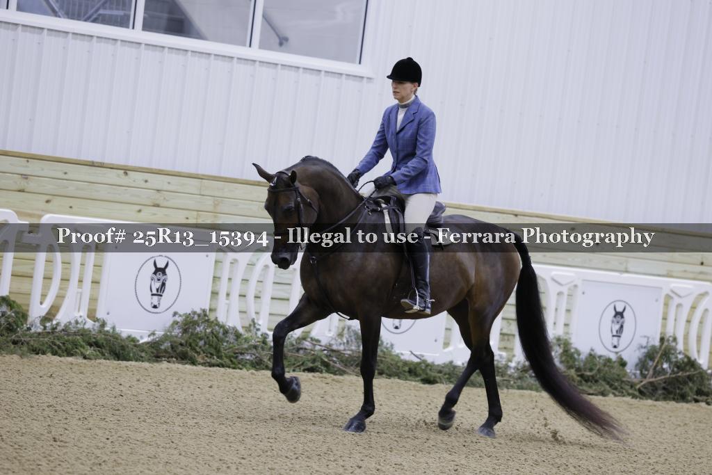 Proof 25R13_15394