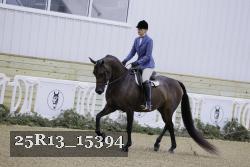 25R13_15394 proof