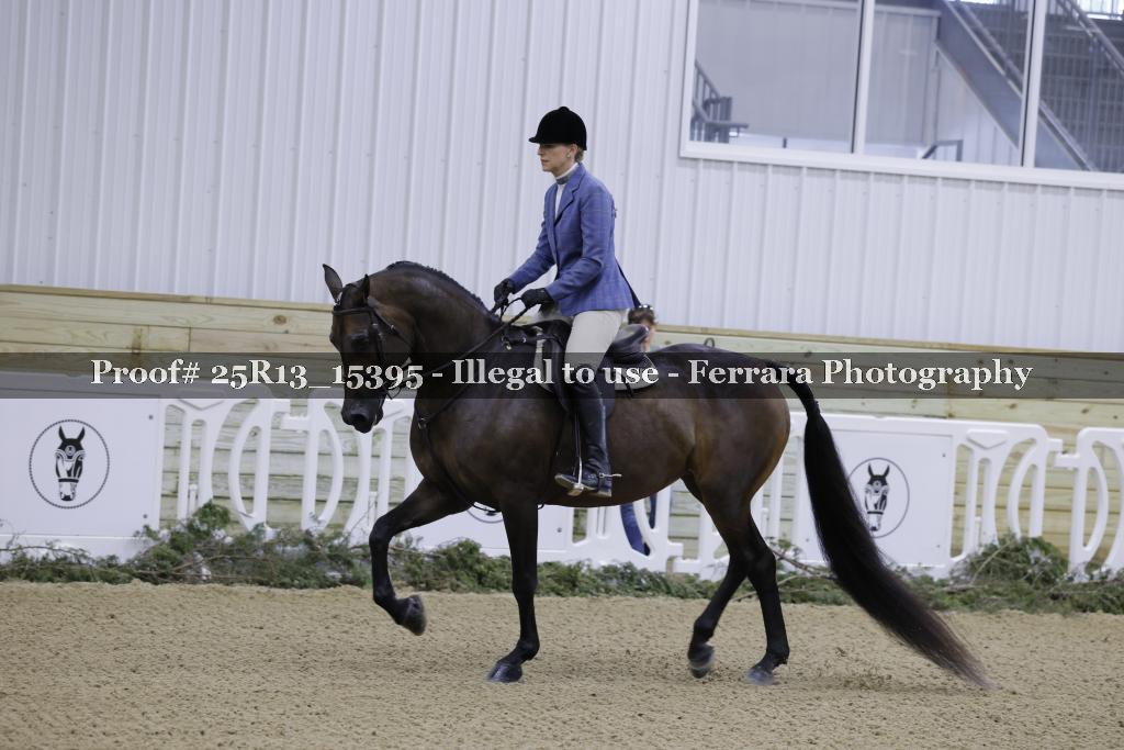 Proof 25R13_15395