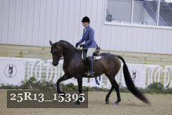 25R13_15395 proof