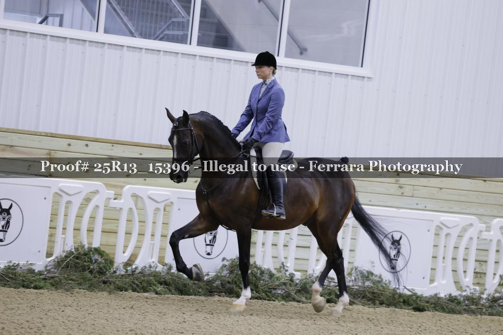 Proof 25R13_15396