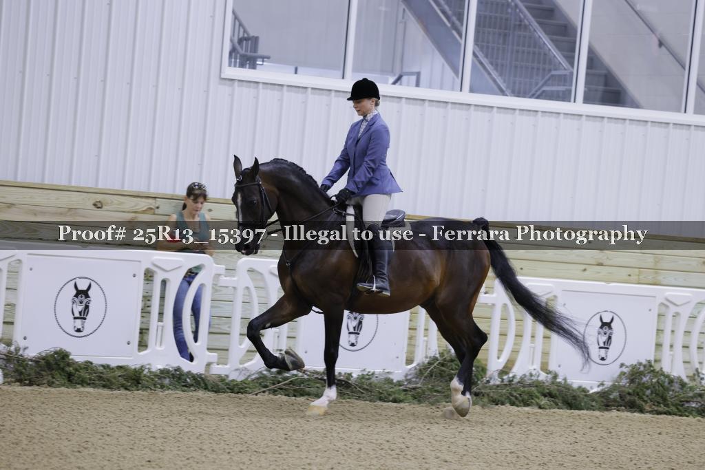 Proof 25R13_15397