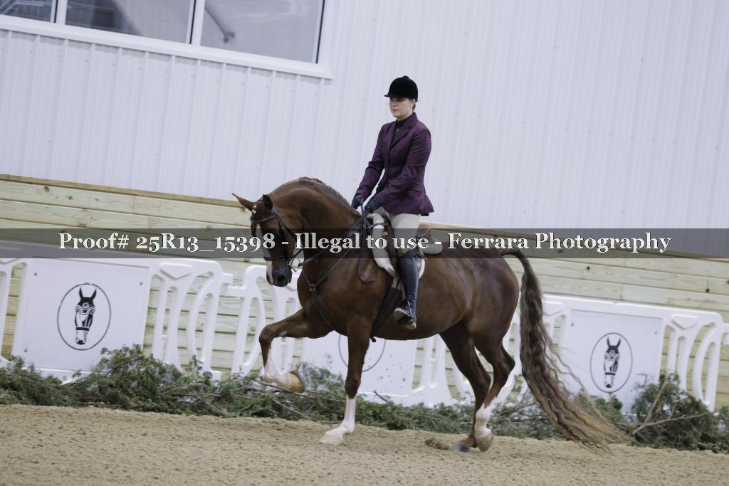 Proof 25R13_15398