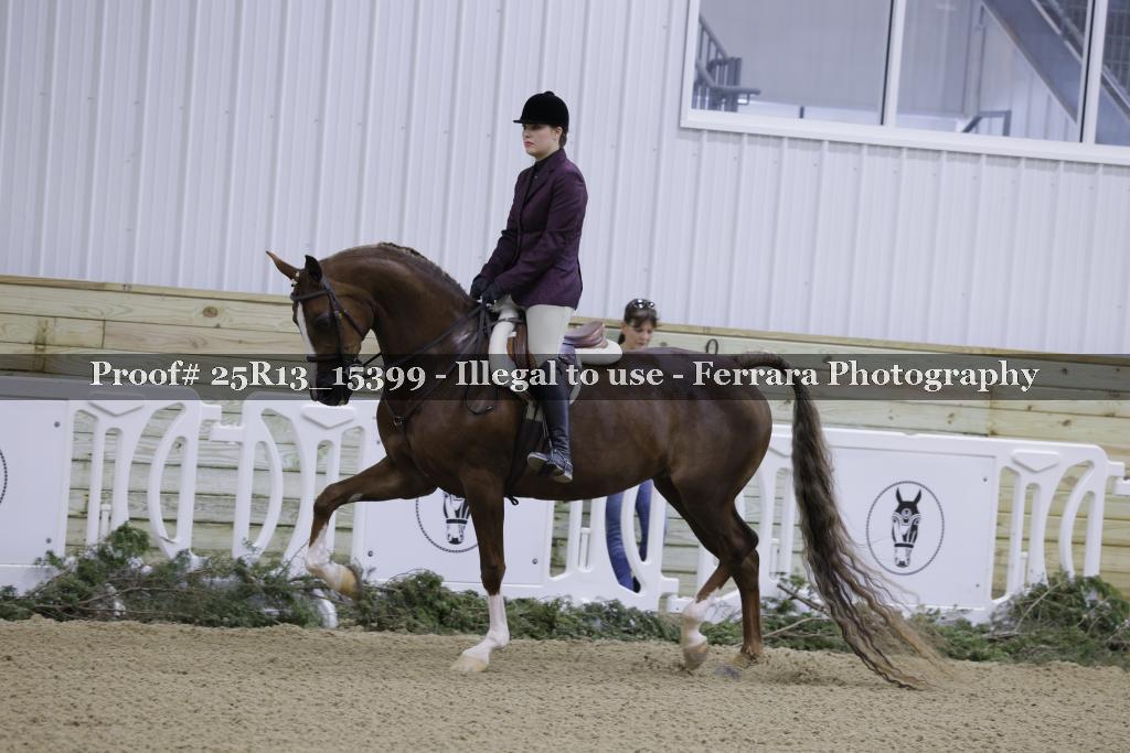 Proof 25R13_15399