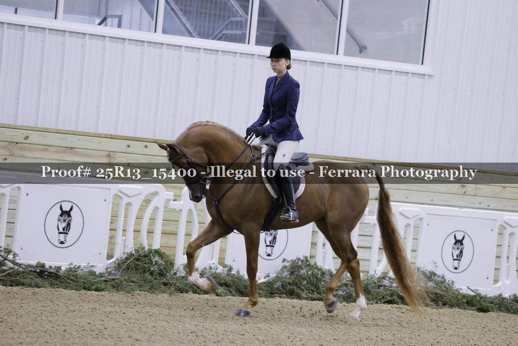 Proof 25R13_15400