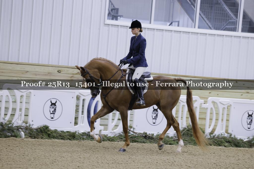 Proof 25R13_15401