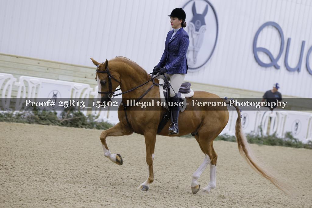 Proof 25R13_15402