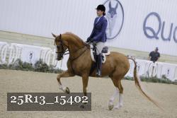 25R13_15402 proof