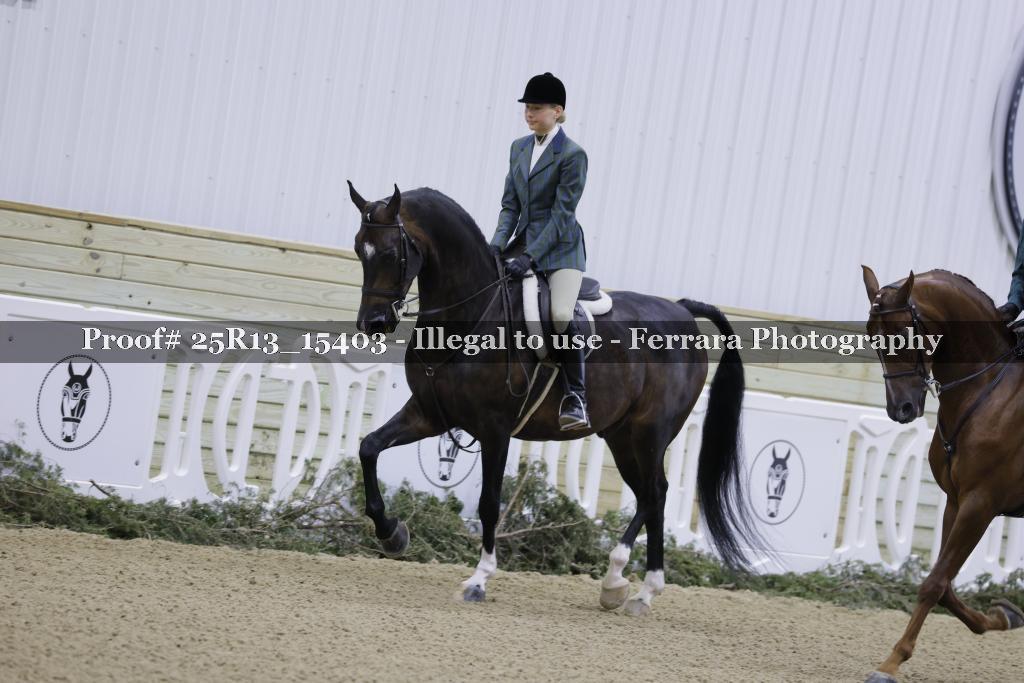 Proof 25R13_15403
