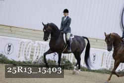 25R13_15403 proof