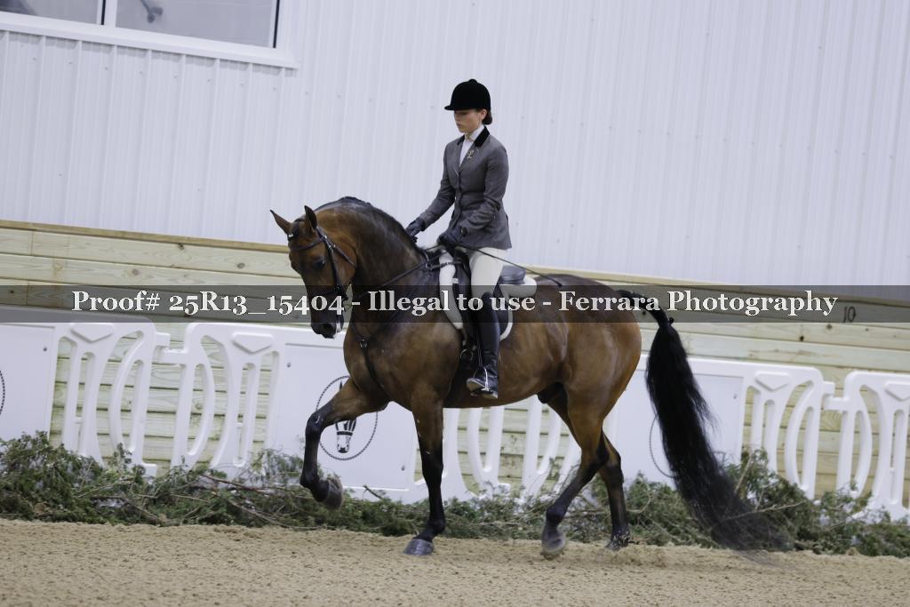 Proof 25R13_15404