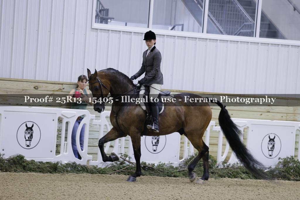 Proof 25R13_15405