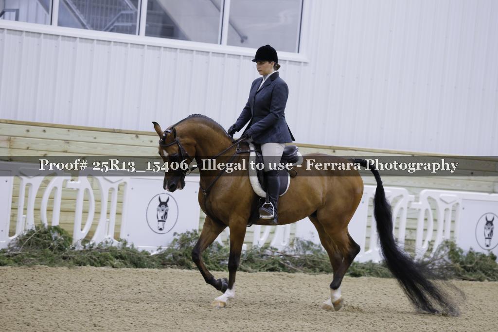Proof 25R13_15406