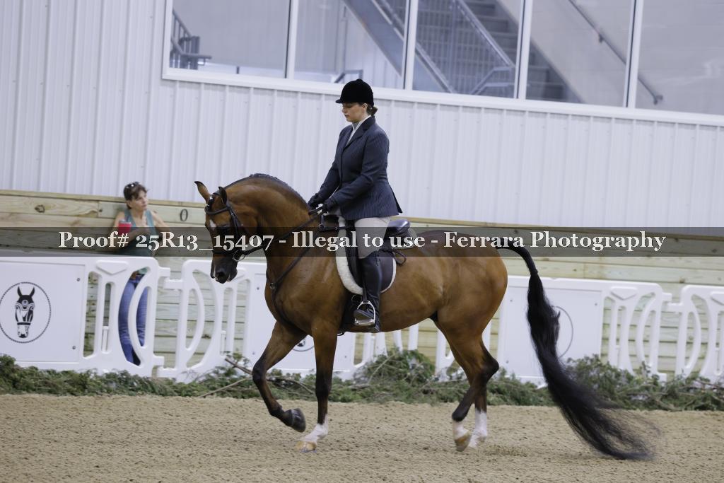 Proof 25R13_15407