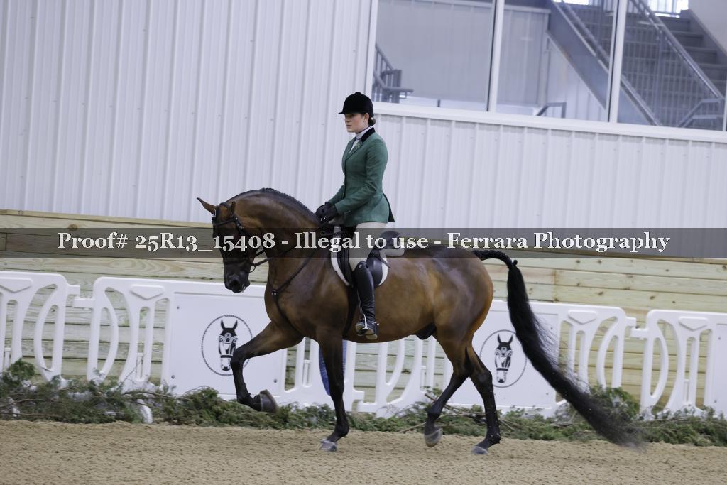 Proof 25R13_15408