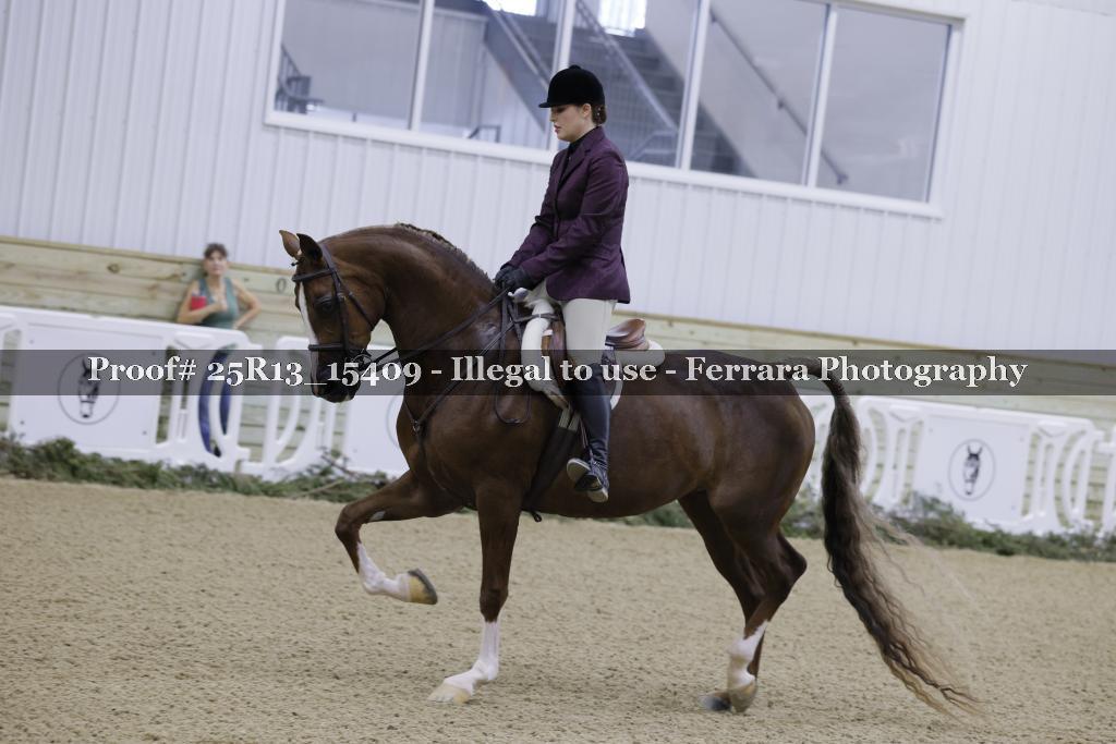 Proof 25R13_15409