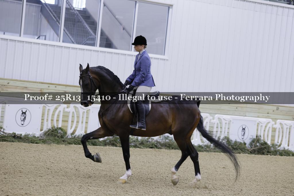 Proof 25R13_15410