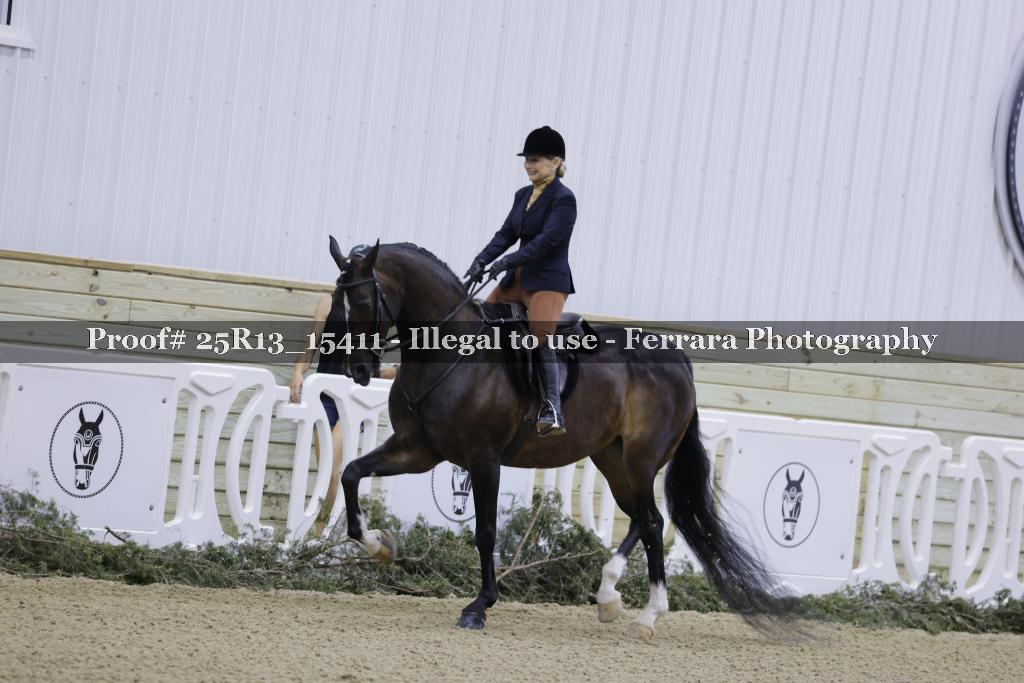 Proof 25R13_15411