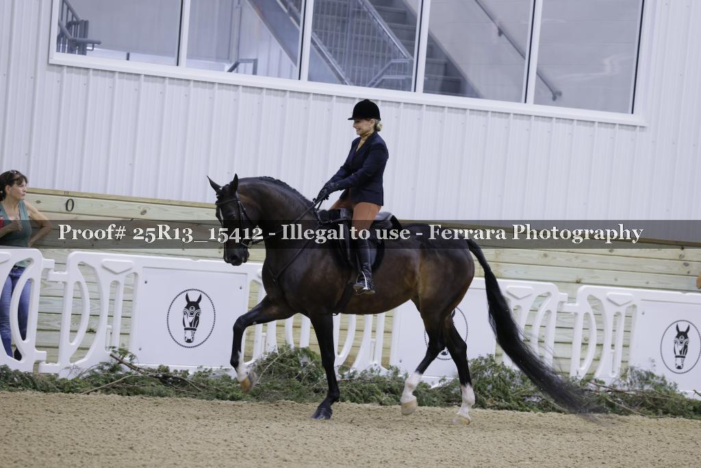 Proof 25R13_15412