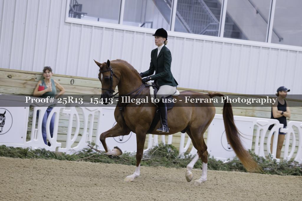 Proof 25R13_15413