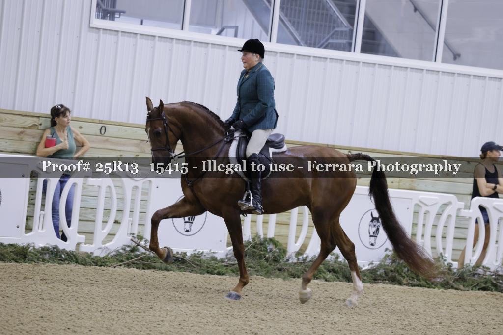 Proof 25R13_15415