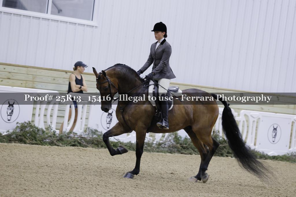 Proof 25R13_15416
