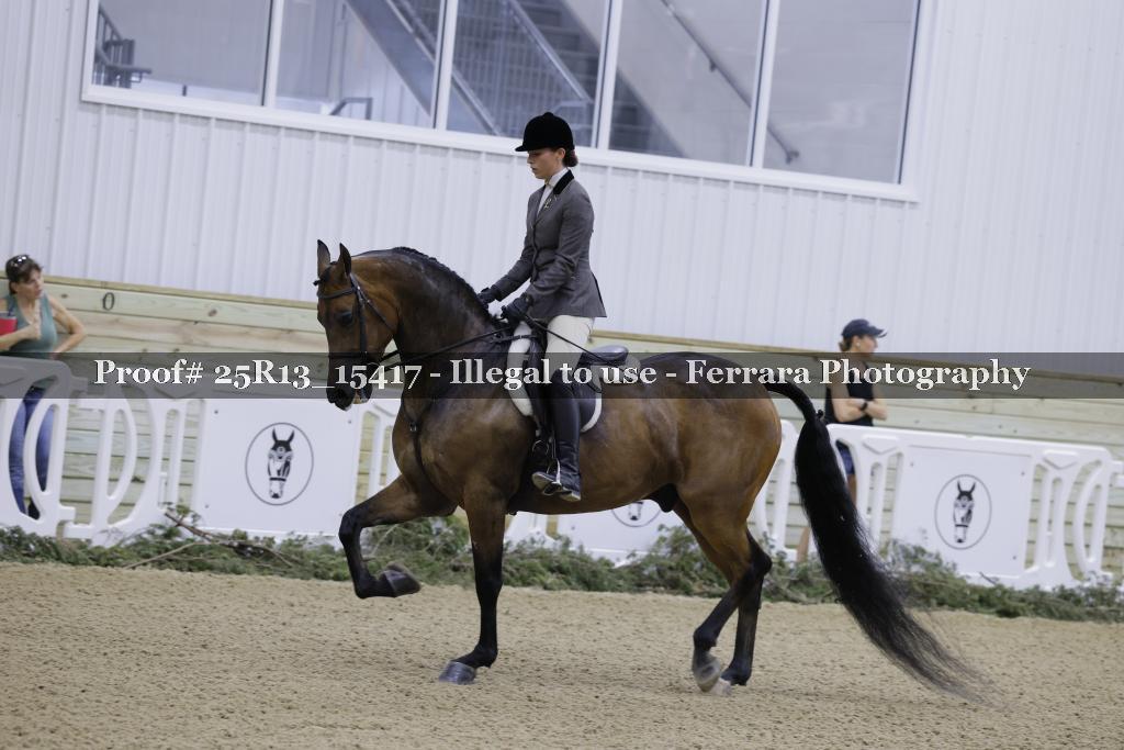 Proof 25R13_15417